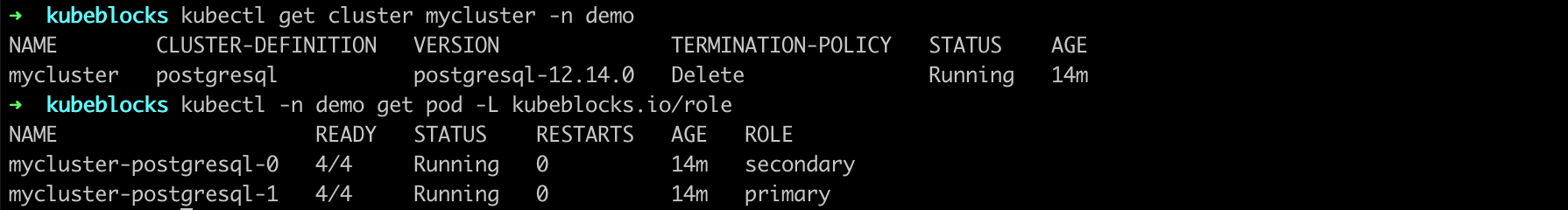 PostgreSQL cluster status after HA