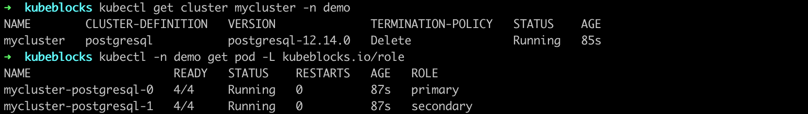 PostgreSQL cluster original status