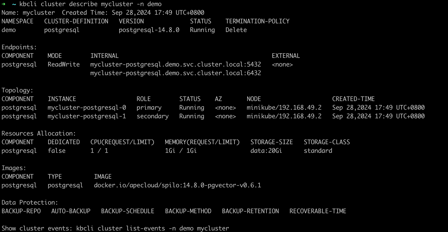 PostgreSQL cluster status after HA