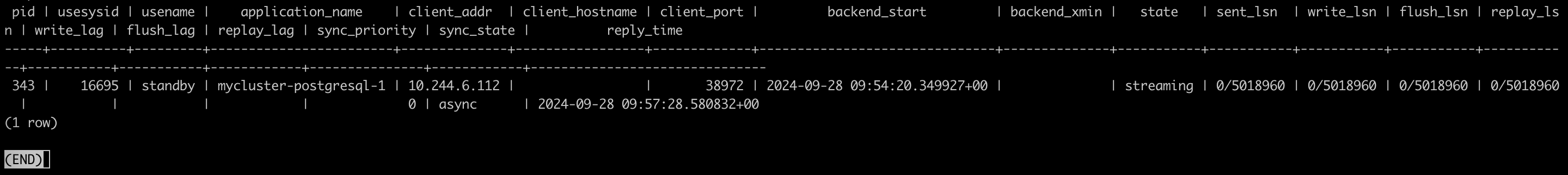 PostgreSQL replication info