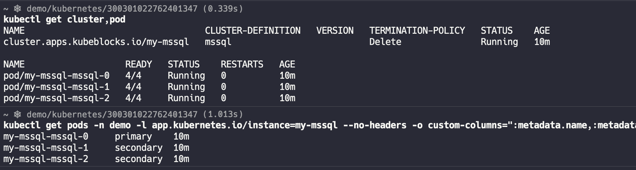 Cluster and pod status